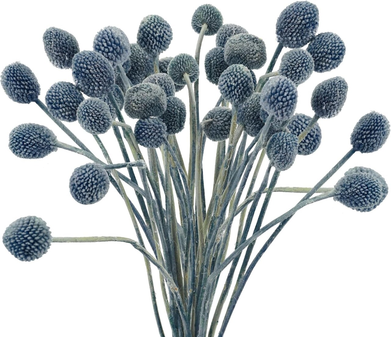 20 Pcs Artificial Dried Craspedia Flowers – Blue Billy Button Balls for DIY Wedding, Office, Home & Party Décor